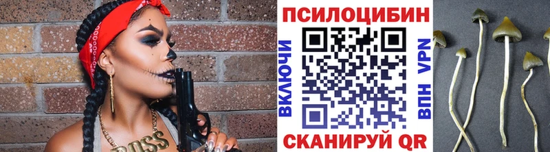 Купить закладки  Дедовск  Псилоцибиновые грибы Magic Shrooms 